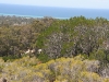 View from the Big Rock near Dunsborough