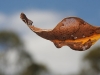 Places in South-West of Western Australia