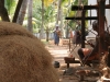 Pile of coconut husk fibre