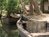 boats in the backwaters