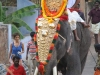 Festivals and Celebrations in Varkala