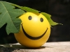 Shiny smile