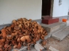 Coconut husks in our backyard - Yes, we ate all this ;)