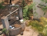 well in the garden of the neighbours