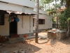 the backyard - another view