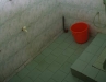 Toilet & Shower for Gents