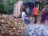 Coconut Mama office