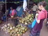 Buying another load of young coconuts - we drink coconut water every day!