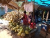 Katja is drinking coconut water