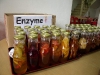 Home-made enzymes from different fruits and vegetables