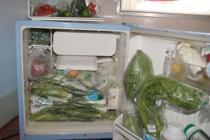 Gyvas maistas supresuotas į šaldytuviuką