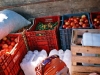 Travelling to Panaba in a truck full of tomatoes