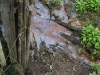 some strange oily water in front of the house