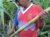 sugar cane prepared by Maduardo