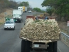 a truck full of onion