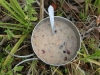 our breakfast - oatmeal