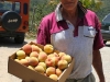 these peaches were picked just a couple of minutes ago