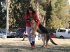 this dog run away, and to make him come back, he had to be ¨half¨-carried. funniest scene of the day.