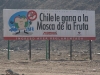 Chile praising itself for having eradicated the fruit fly