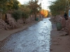 miracle water in the driest desert of the town