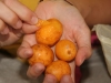 these fruits are Camu Camu and due to their high Vitamin C content they are terribly sour